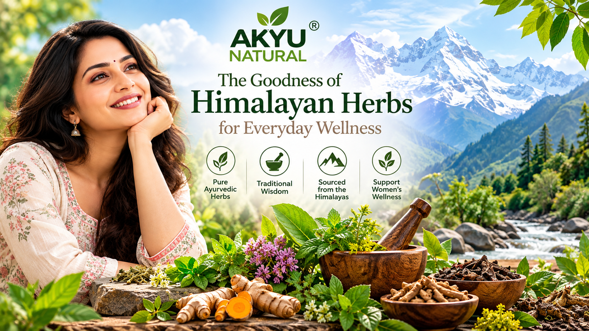 The Himalayas are home to a remarkable diversity of medicinal plants that have been used in traditional healthcare systems for generations.